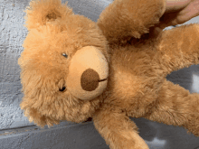 a person is holding a brown teddy bear with its arms outstretched