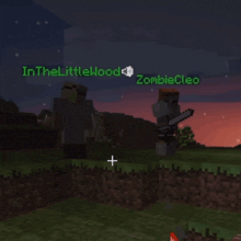 a screenshot of a minecraft game with the name in the littlewood