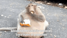 a fat monkey is eating a piece of food with the caption " adding further security protocols "