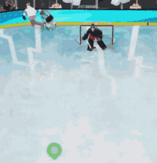 a hockey game is being played on a rink with a goalie