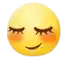 a yellow smiley face with its eyes closed and a smile on its face .