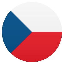 a circle with a red white and blue flag in it