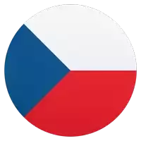 a circle with a red white and blue flag in it