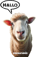 a picture of a sheep with a speech bubble saying hallo