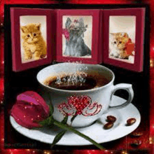 a cup of coffee is on a saucer next to a rose and three kittens in frames .