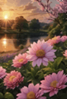 a painting of pink flowers in a garden with a lake in the background at sunset .