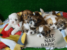 a group of puppies are laying on top of a pillow that says " eat nap bark "