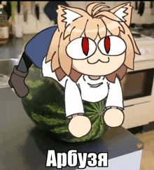 a cartoon of a cat sitting on top of a watermelon with the word arbuza written below it