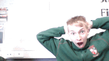 a boy wearing a green sweatshirt with a shield on the front is making a funny face