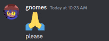 a screenshot of a discord chat with gnomes today at 10:23 am and please