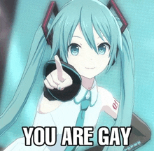 a picture of hatsune miku pointing at the camera with the words you are gay below her