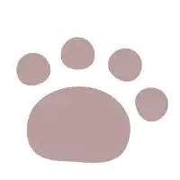 a pink paw print with four circles around it on a white background