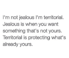 i 'm not jealous , i 'm territorial .