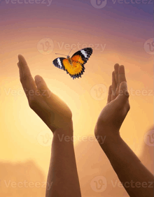 a person is holding a butterfly in their hands and the butterfly is flying towards them