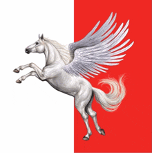 a white horse with wings is on its hind legs on a red and white background