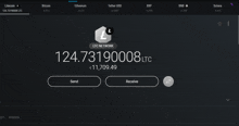 a screen shot of a wallet with a ltc network logo