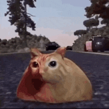 a cat is sitting on the side of a road looking at the camera