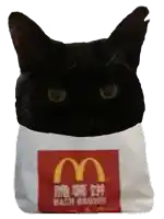 a black cat sitting on top of a mcdonalds bag