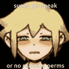 a drawing of a girl with the words " sunny pls speak or no reaction perms "