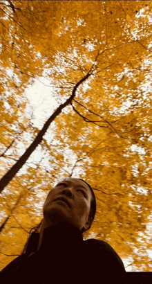 a woman is looking up at the trees with yellow leaves