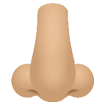 a cartoon illustration of a human nose with a white background