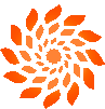 a circular pattern of orange leaves on a white background