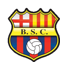 a shield with a soccer ball and the words b.s.c. on it