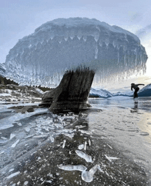 a tree stump covered in ice with icicles hanging off of it