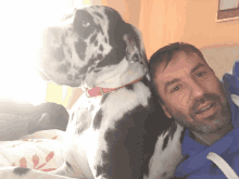 a man laying on a bed with a black and white dog behind him