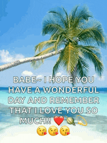 a picture of a palm tree on a beach with a message that says babe i hope you have a wonderful day and remember