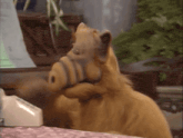 alf from the sitcom sits on a table with a telephone