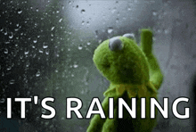 a kermit the frog is standing in front of a window with rain drops on it .