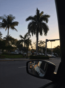 a palm tree is reflected in the rear view mirror