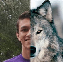 a picture of a man and a picture of a wolf with the words photofunny at the bottom