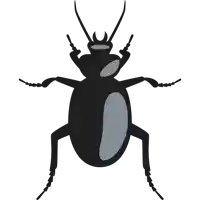 a silhouette of a black beetle with a blue spot on its body