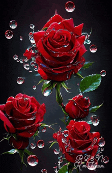 a painting of red roses with water drops and the name r.m. leon on the bottom