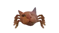 a cat that looks like a spider with its mouth open and sharp teeth