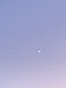 a crescent moon is visible in the sky