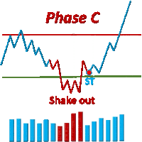 phase c is shown on a graph with a red line