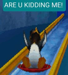 a penguin with a crown is going down a slide with the words are u kidding me above it