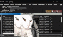 a screenshot of a program called nbullet showing a cat on the screen