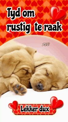 two puppies sleeping next to each other with the words tyd om rustig te raak on the bottom