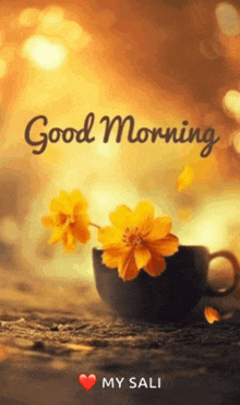 a cup of coffee with yellow flowers and the words good morning my sali