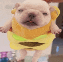 a puppy wearing a yellow hamburger costume is flying through the air