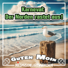 a seagull stands on a wooden post on a beach with the words " karneval der norden rastet aus " above it