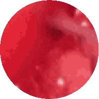 a red circle with white dots on it