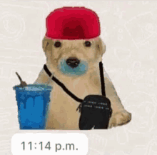 a dog wearing a red hat and a pacifier is holding a drink and a bag .