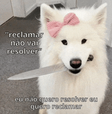 a white dog with a pink bow holding a knife in its mouth