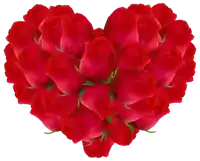 a heart made of red roses with green stems on a white background