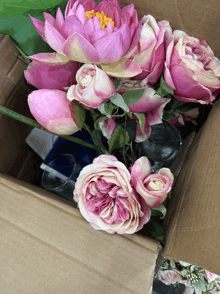 a cardboard box filled with pink flowers including a lotus